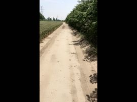 一秒钟の记忆主播照片