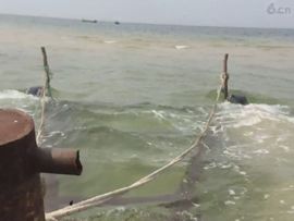 🚩风景🚩主播照片