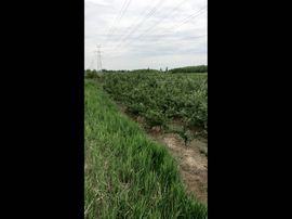 一秒钟の记忆主播照片