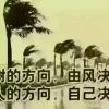 Ersxyhb♚的头像