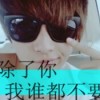 花心无最海报