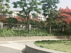 O_o尊℡☘小女王☘主播照片