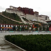 微信_4015781的头像