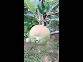 一秒钟の记忆主播照片