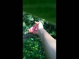 一秒钟の记忆主播照片