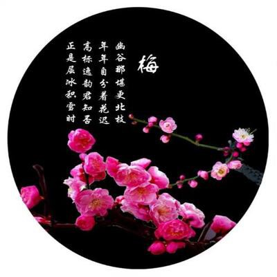 つ♡零度MC的图片