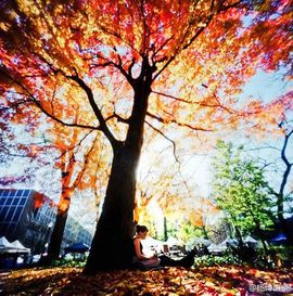 自在鱼🍃主播照片