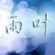 ．盘．古．雨．叶．