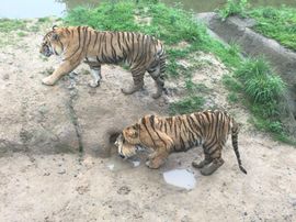 冬寒飞雪、主播照片