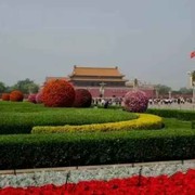 微信_(tái)4732783的頭像
