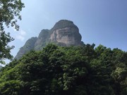 过年可以估计海报