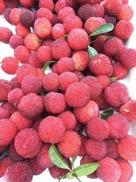 ☀请关注780411主播照片