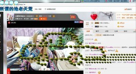 ♓馨❤❤懿♓主播照片