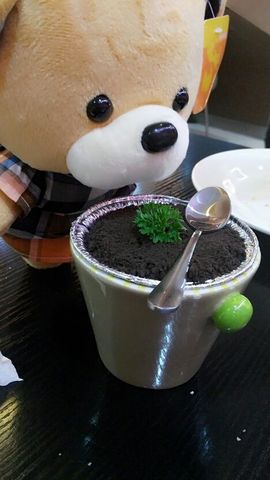 小7.球球～主播照片