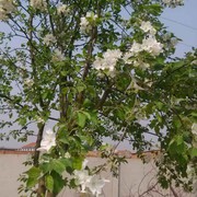 微信_5174506