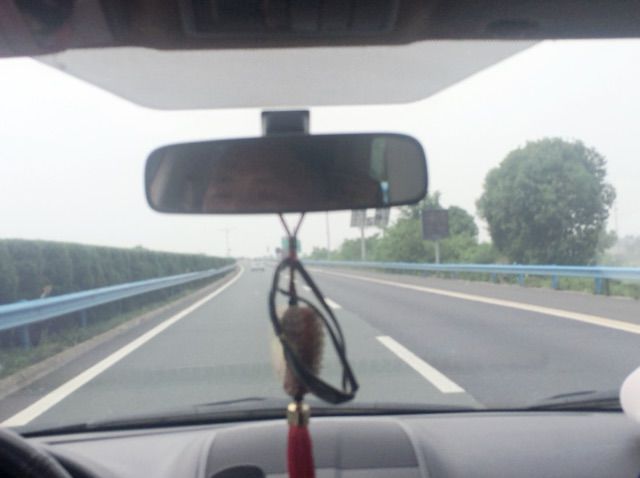 指尖的情谊的主播照片