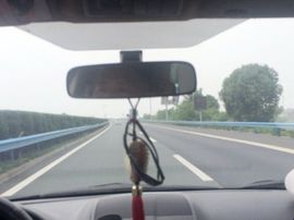 指尖的情谊主播照片