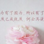三年四年又七年