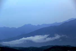 郑家平主播照片
