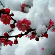 @雨后@的$彩虹$