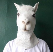 D奇奇奇的頭像