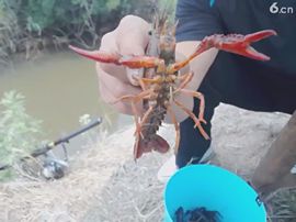 🚩风景🚩主播照片