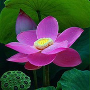 (^人在+路上^)