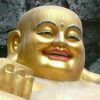 园君nfn的头像