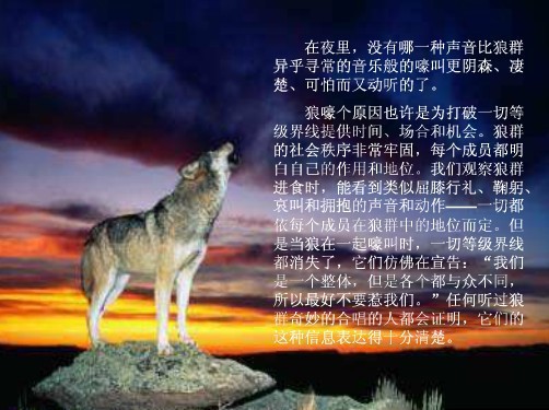 信仰💕为你守候的主播照片