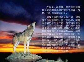 信仰💕为你守候主播照片