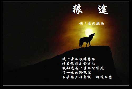 信仰💕为你守候的主播照片