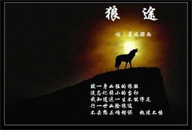 信仰💕为你守候主播照片