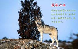 信仰💕为你守候主播照片