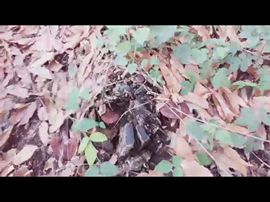 🚩风景🚩主播照片