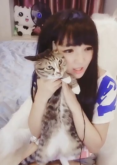 ☜娃★带刀猫☞的主播照片