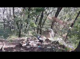 🚩风景🚩主播照片