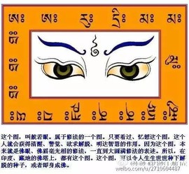 世界公民2020主播照片