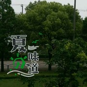 微信_6203591