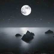裹夜鸿景