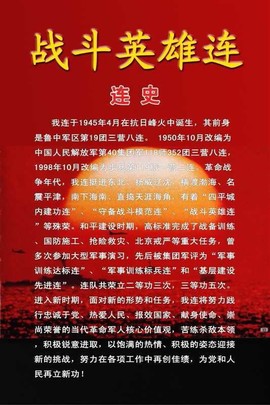 2017金鸡贺岁主播照片