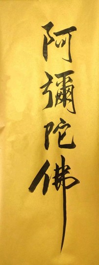 世界公民2020主播照片