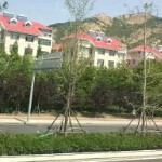 小熊熊啊