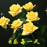 微信_6698627