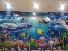 豆豆是什么主播照片