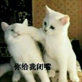 ✨媳婦⭐求🌙帶走✨主播照片