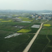 微信_6894526