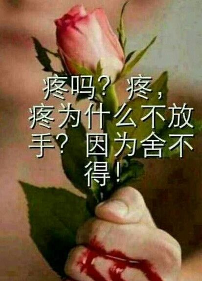 听歌的小爱的主播照片