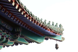@拉芳主播照片