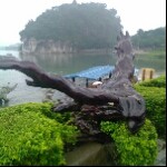 ZW大先生