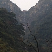 「粉丝」